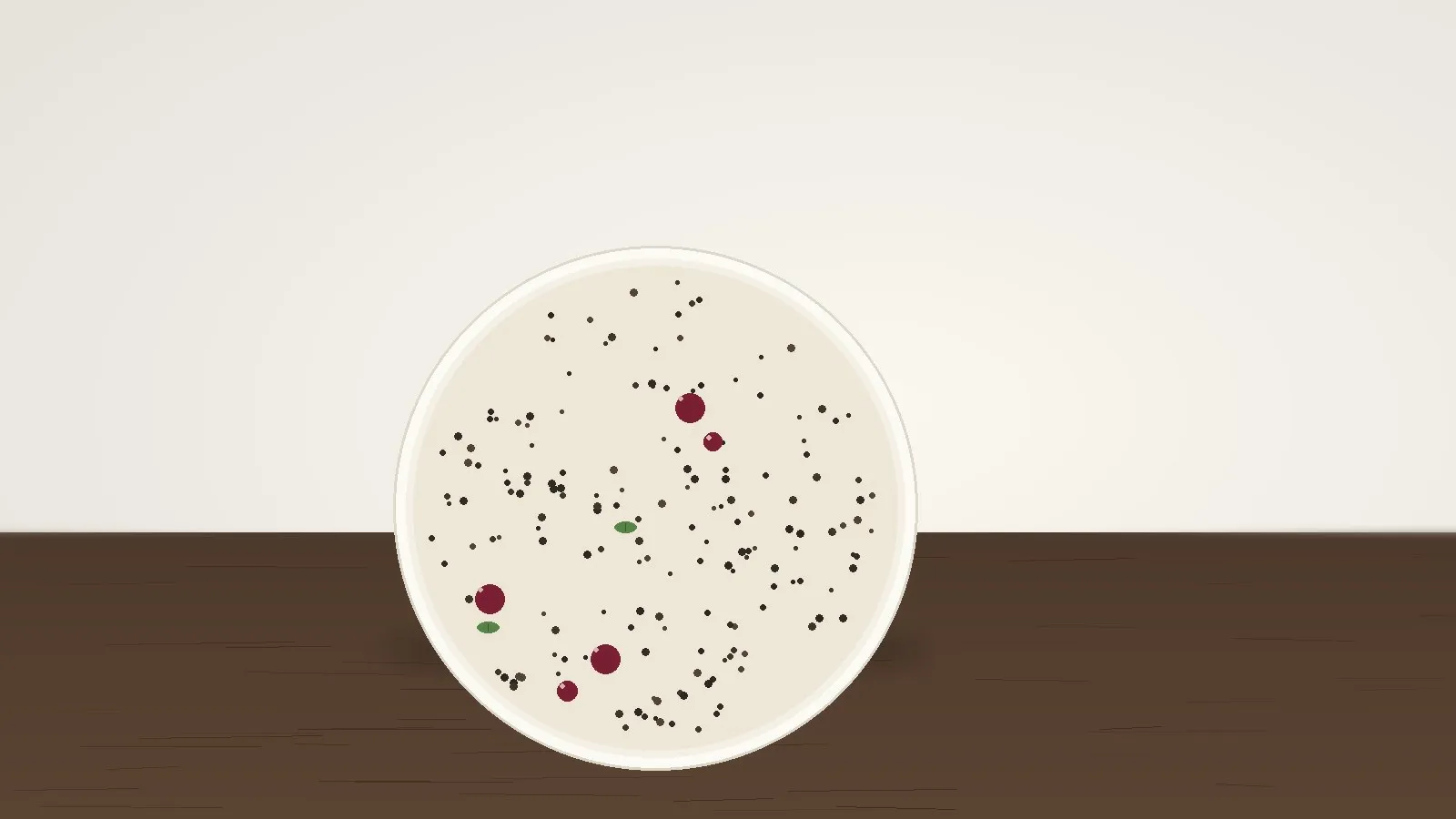 Chia-Pudding in einer hellen Schüssel mit Beeren auf einem dunklen Holztisch